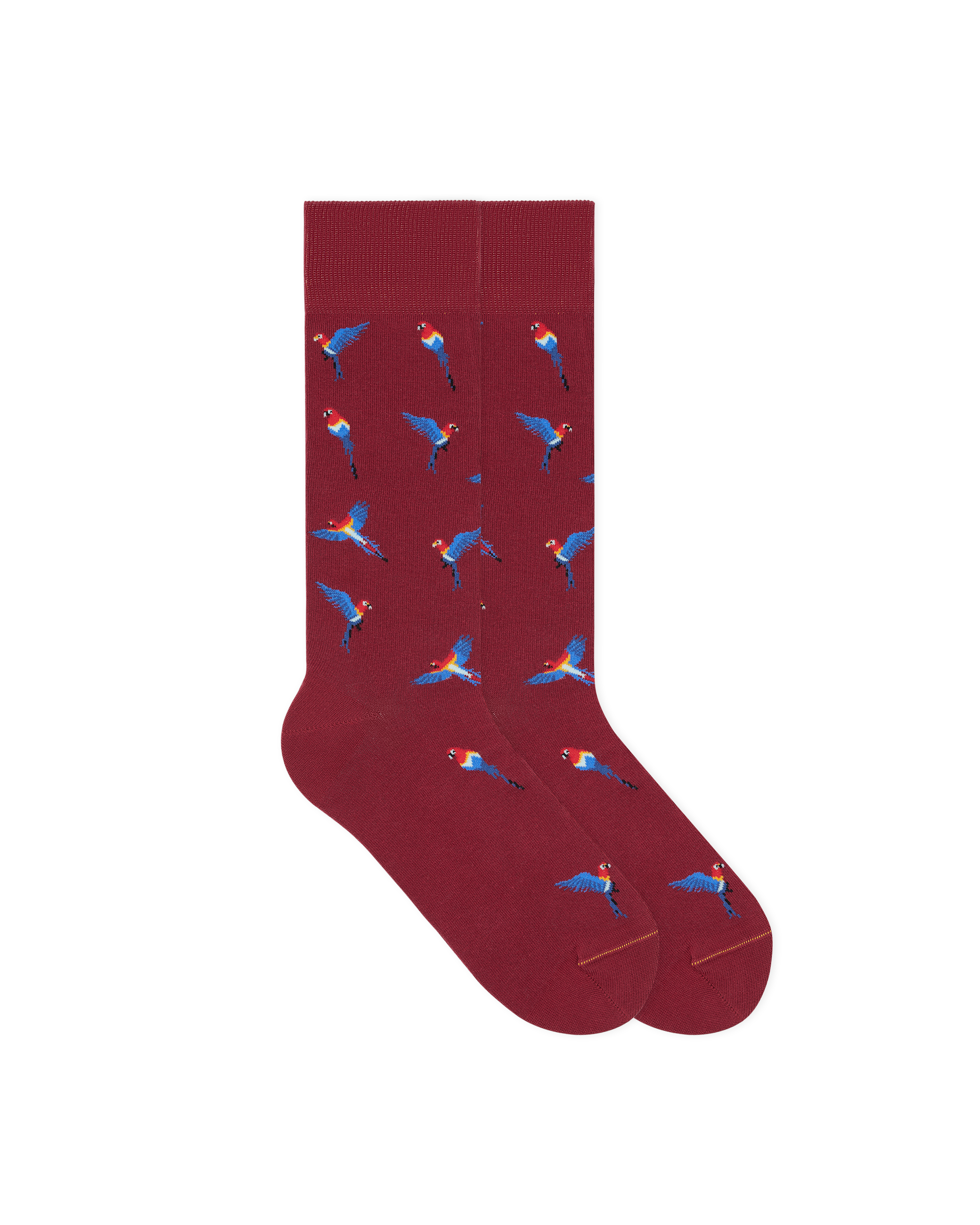 bird-motif-socks-papagei-soken-flat