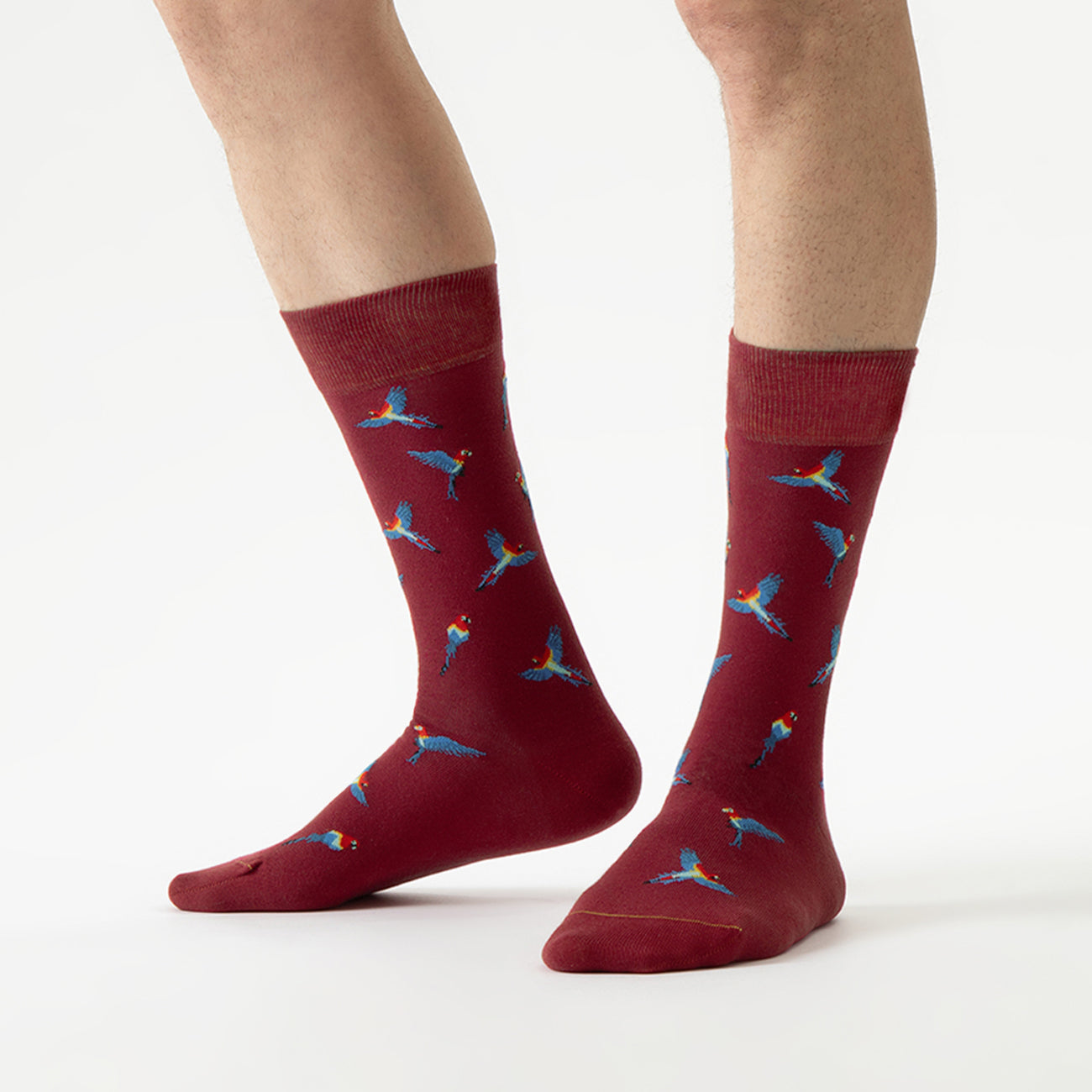 bird-motif-socks-papagei-soken-feet