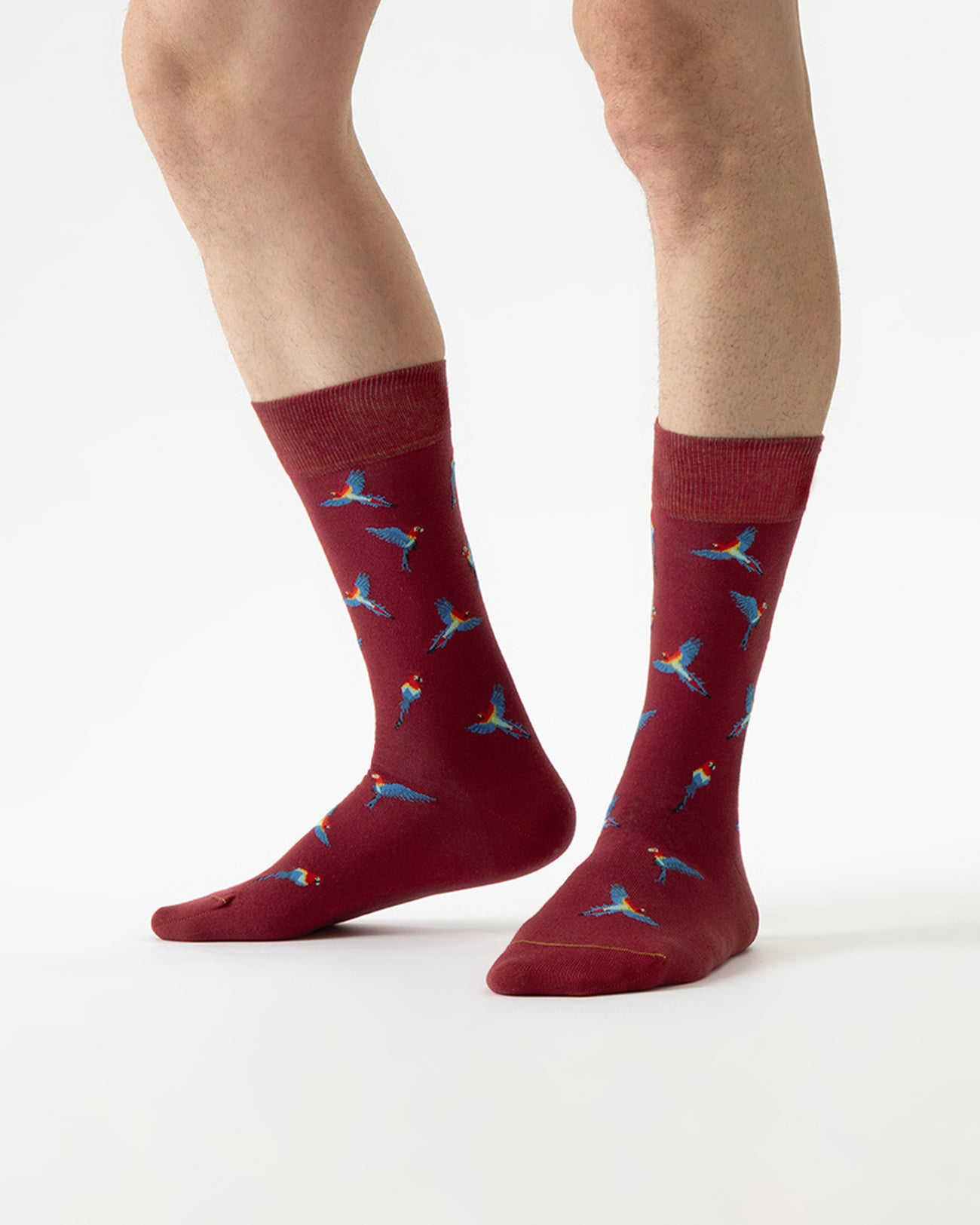 bird-motif-socks-papagei-soken-feet