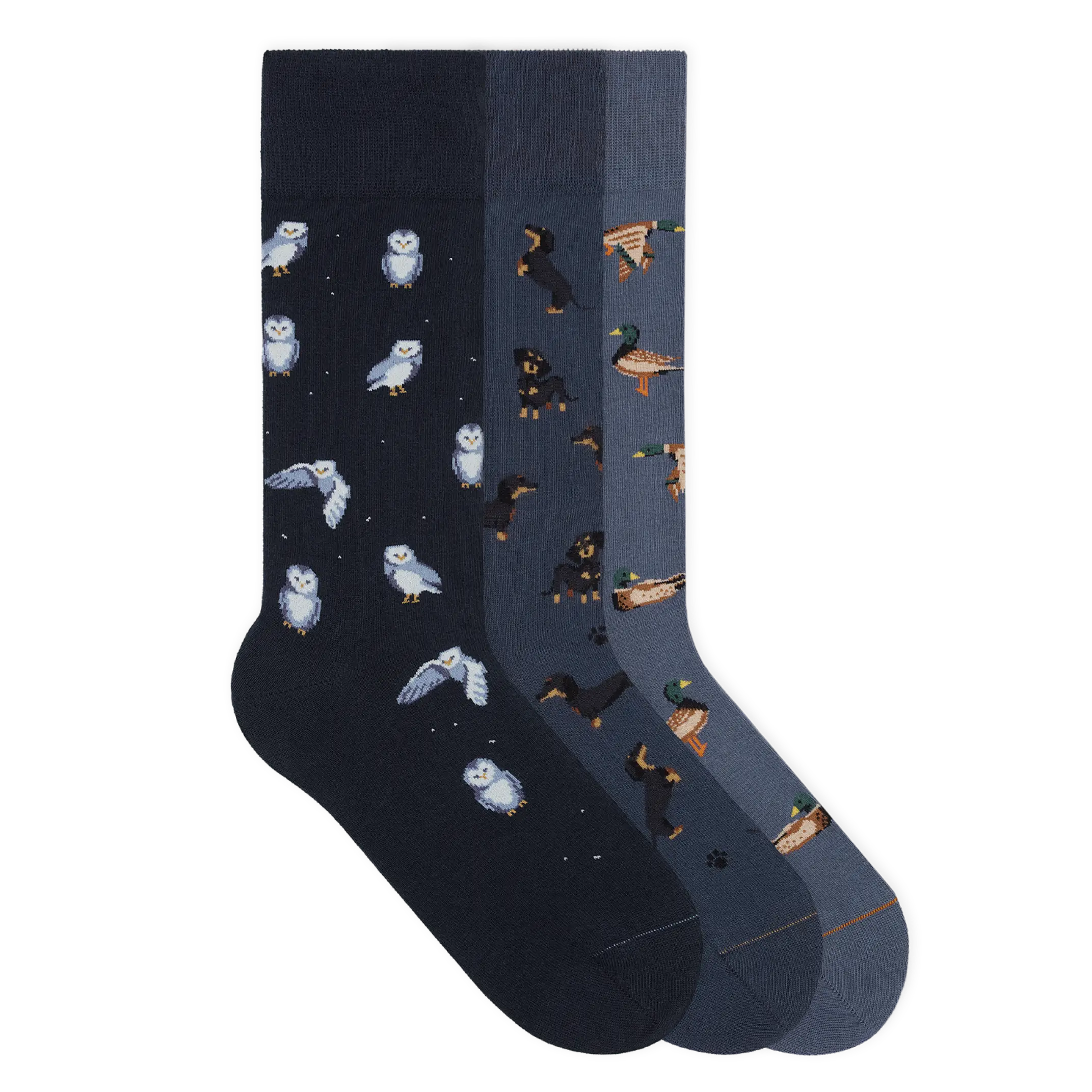 Motivsocken aus Bio-Baumwolle - 3er Set