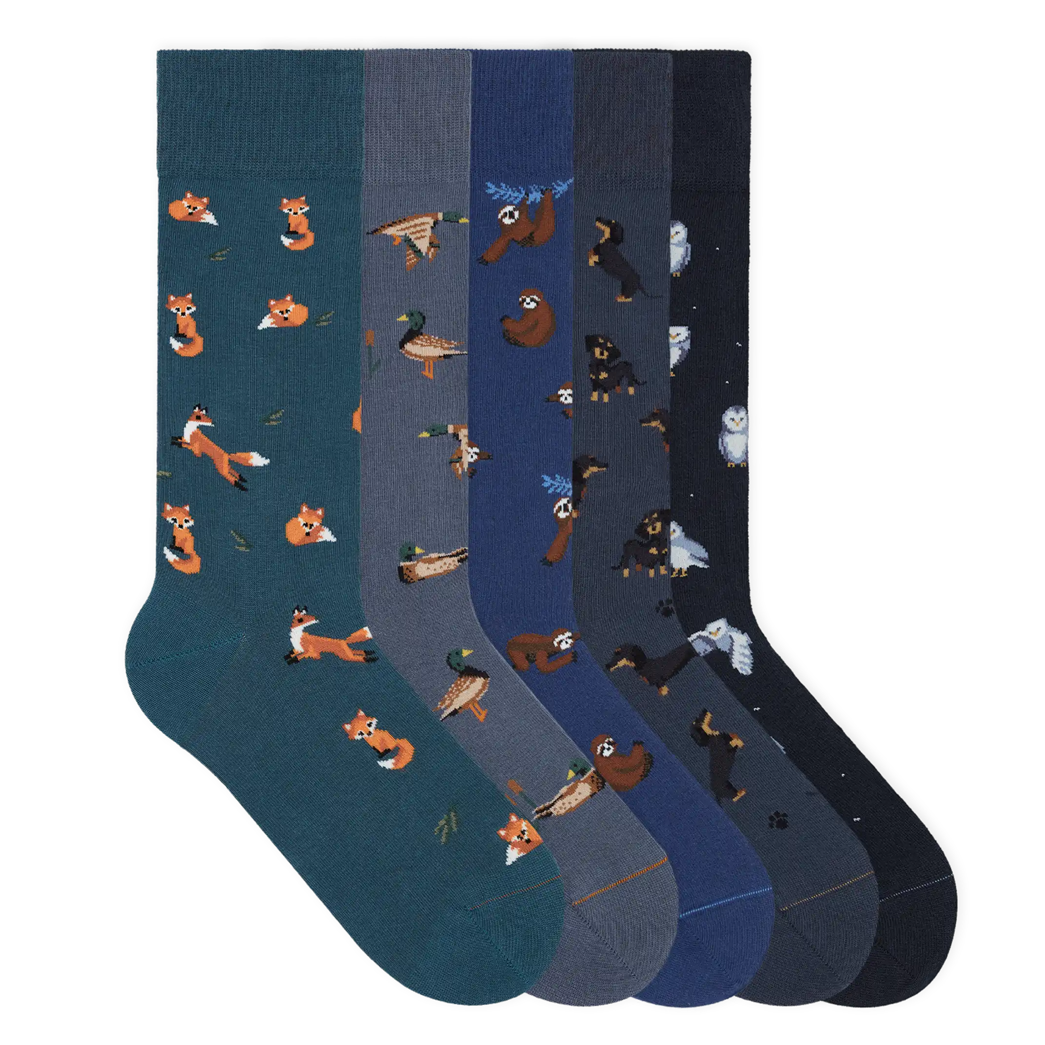 Motivsocken aus Bio-Baumwolle - 5er Set