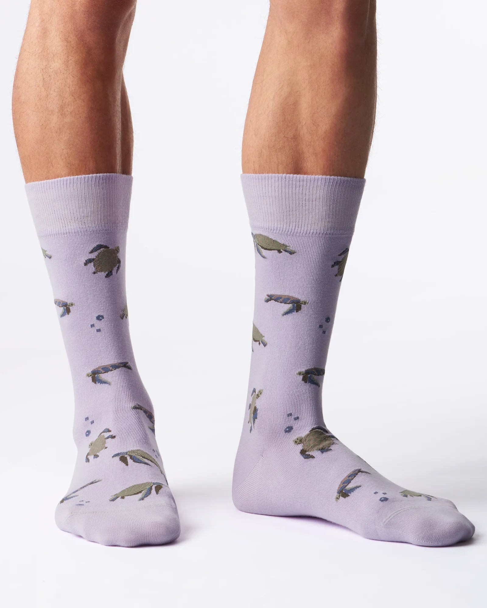 Turtle_gemusterte_socken lila socken, lustige socken, bunte socken mit Schildkröten motiv nachhaltige socken business socken fußbild model