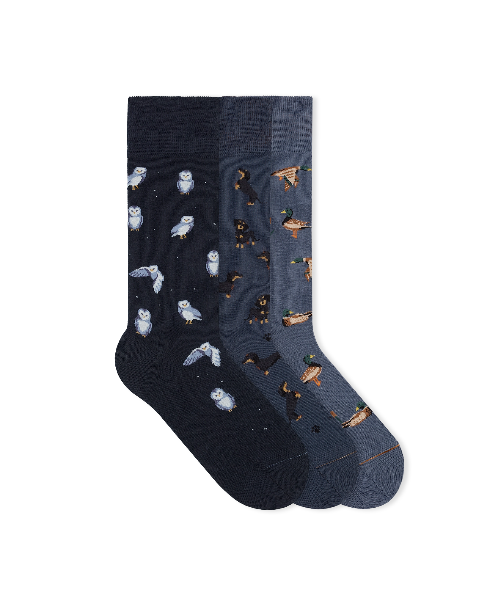 blue-socks-navy-set-dog-duck-owl