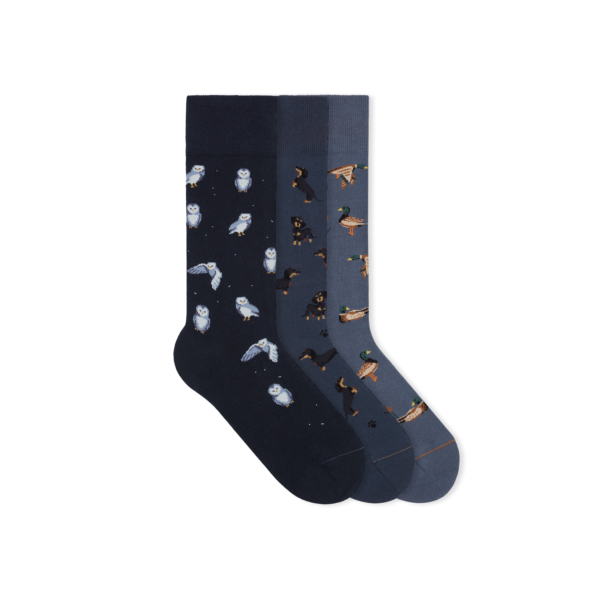 blue-socks-navy-set-dog-duck-owl