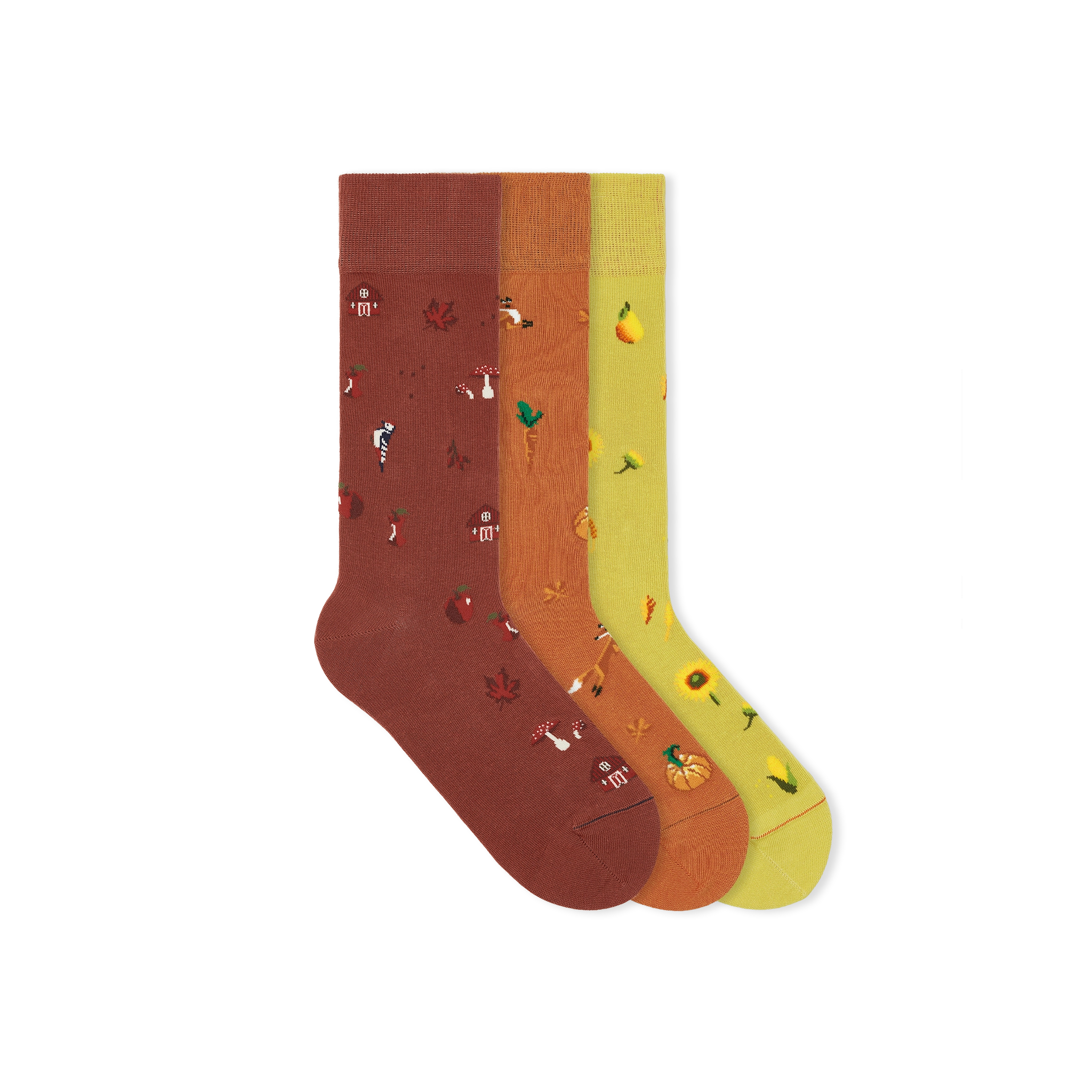 motif-socks-socken-set-crops-fox-maples