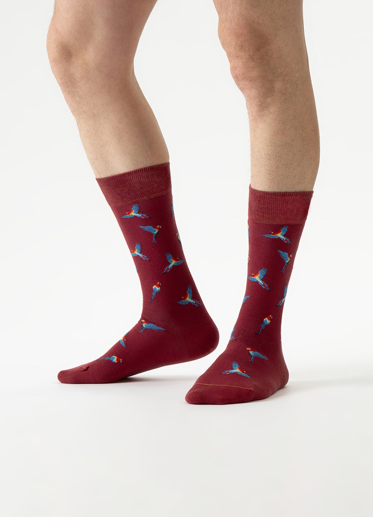 bird-motif-socks-papagei-soken-feet