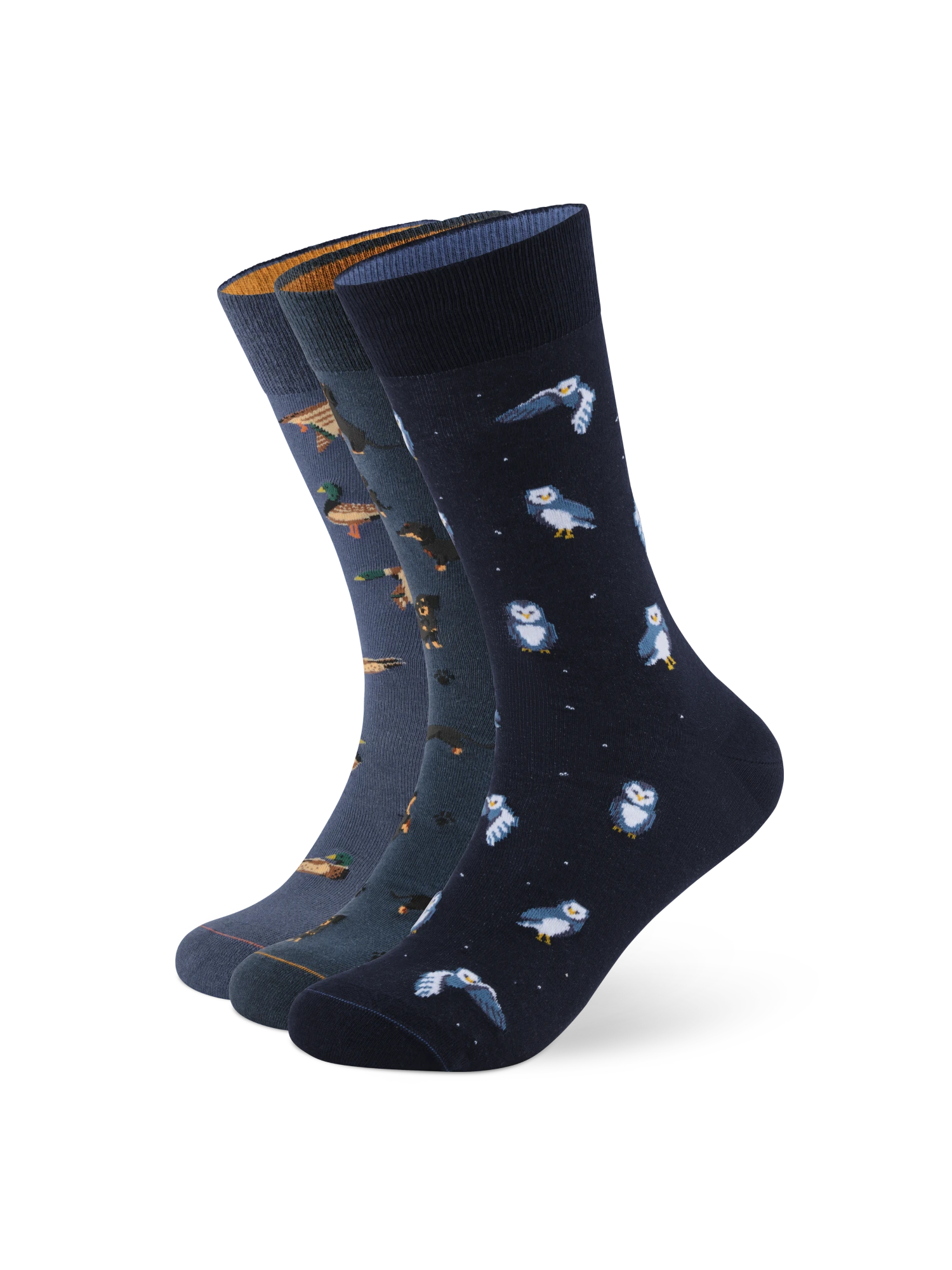 Motivsocken aus Bio-Baumwolle - 3er Set